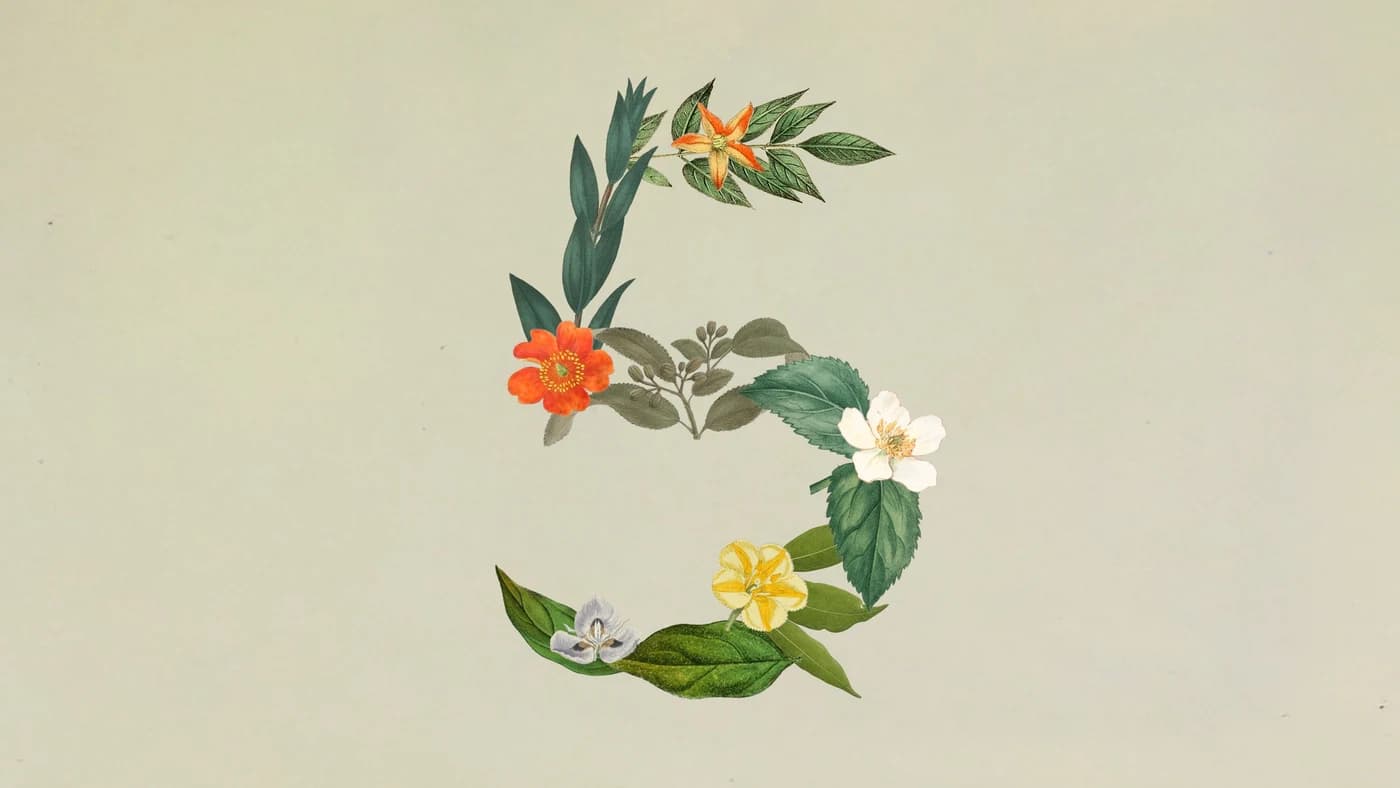 Claude Sonnet 5 announcement artwork, a mix of flowers and leaves forming the number five