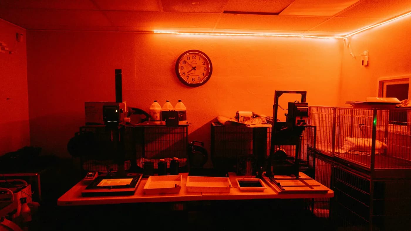 A darkroom under red safelight with a row of developing trays, an enlarger, and a clock on the wall