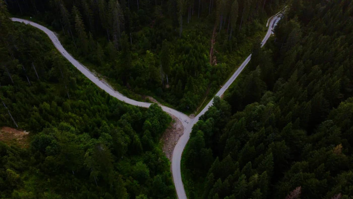 Aerial view of a road forking into two paths through a dark pine forest